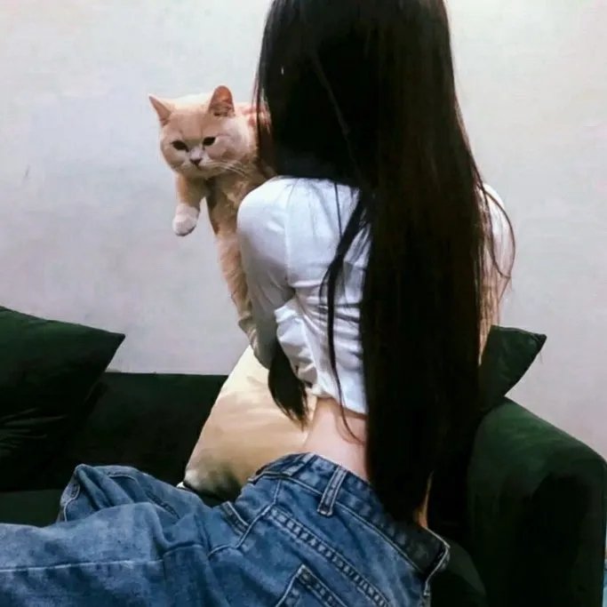 报应不爽